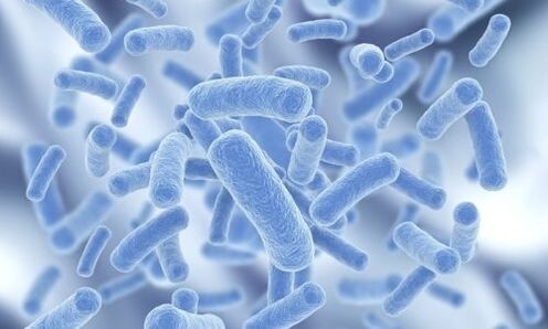 As bacterias no corpo humano